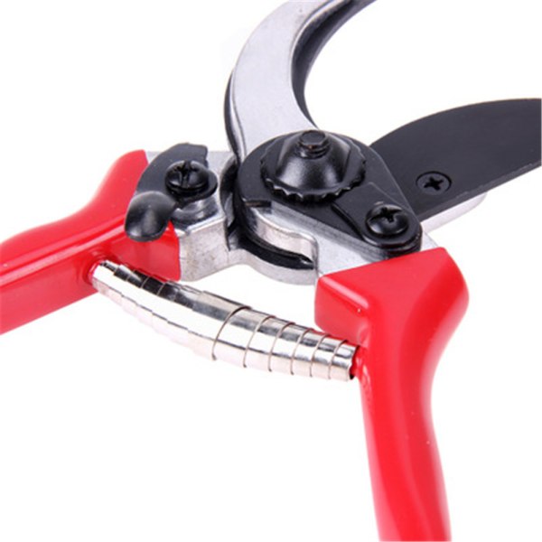 Precision Pruner, Garden Scissors, Harvesting Scissors for F