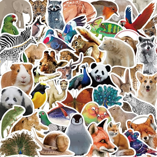 Søde Dyre Stickers, Zoo Dyre Stickers, Realistiske Dyre Dekaler til Børn Teenagere, 50 stk Vinyl Vandtætte Stickers til Wa