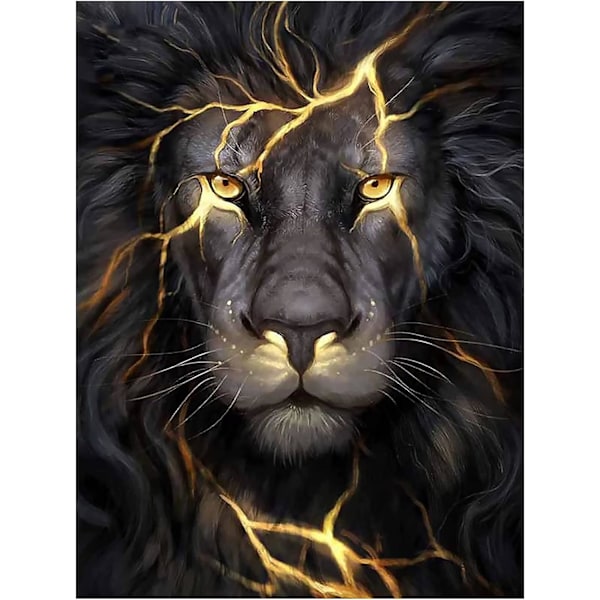 (40*60cm) Timanttimaalaus 5d DIY Peinture Diamant Peinture Adul
