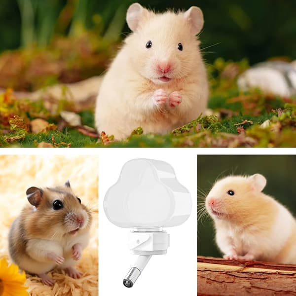 Hamster vandflaske, lille dyredrikker - lille kæledyrsfoderdispenser