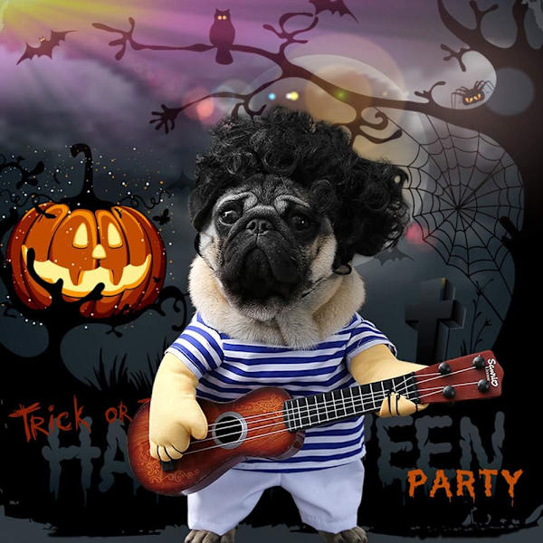 Rolig gitarr hund kostymer husdjur kläder hund kläder kostym Chihuahua Teddy mops jul fest Hallow