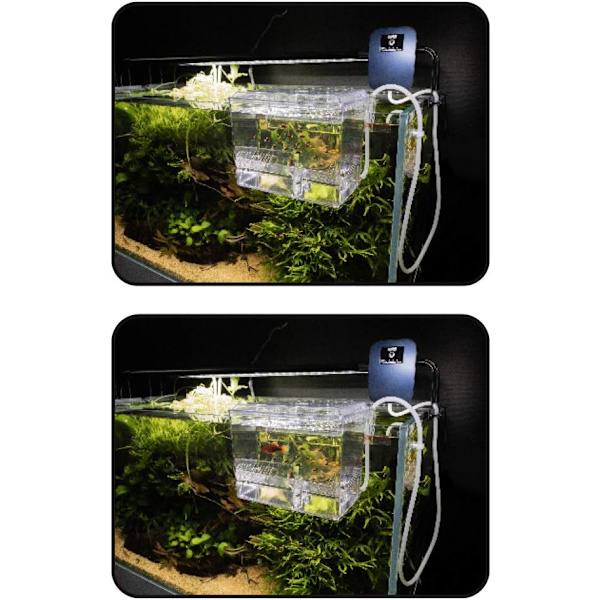 Födelseavdelning för Akvarium Storlek L