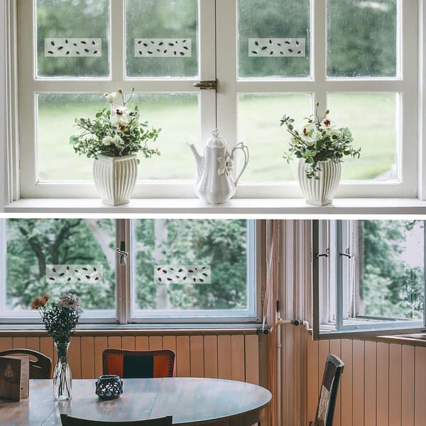 Förpackning med 50 fönsterflugfällor, klibbiga flugfällor för inomhusbruk, transparent flugfälla