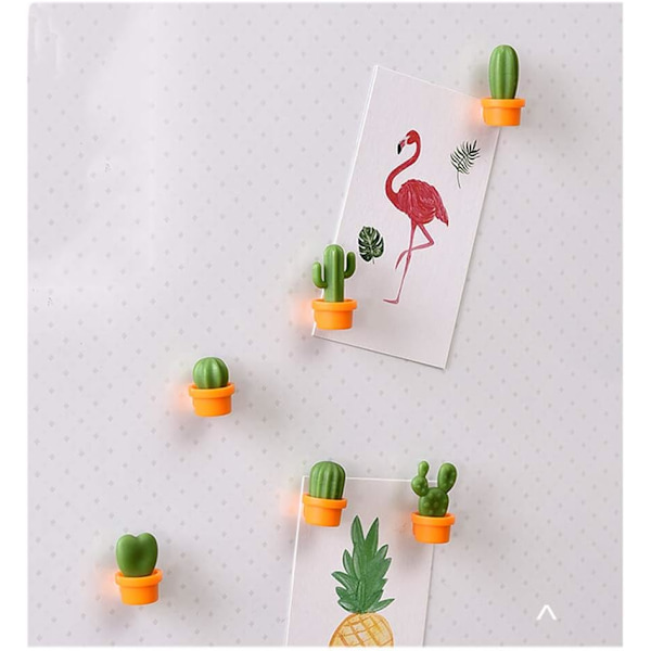 (kaktus) 1,47x2,7cm, Set med 12 dekorativa kylskåpsmagneter, perfekt