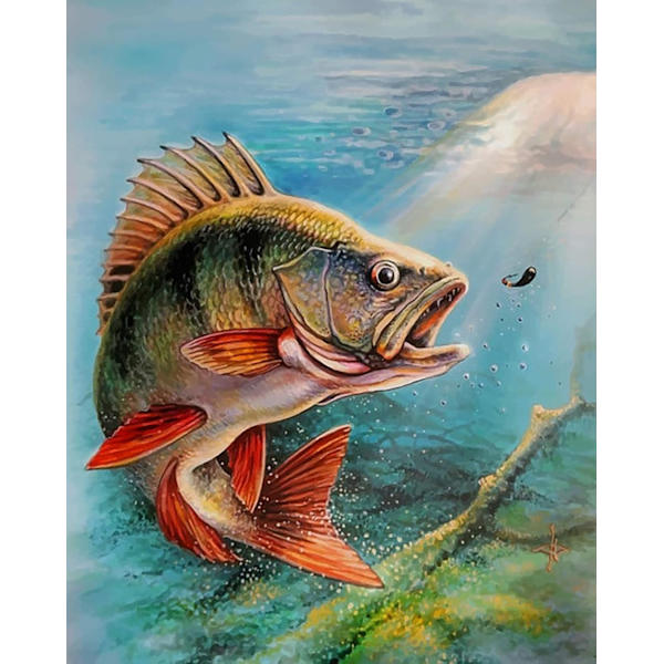 30x40cm 5D timanttimaalaus kala, DIY timanttimaalaus Anima