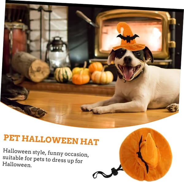 Halloween Kattehatt for Hund Halloween Hodeplagg for Kjæledyr