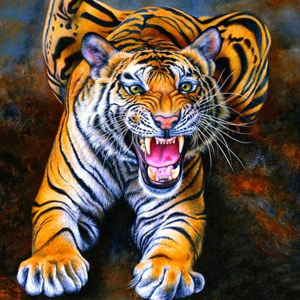 30 x 40 cm ,tigre féroce Diamantmaleri Broderie Diamant Pein