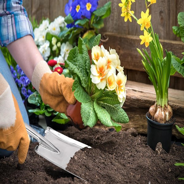 Hagespade i rustfritt stål, liten hageskovl, mini håndskovl, perfekt for planting, omplanting, luking, graving