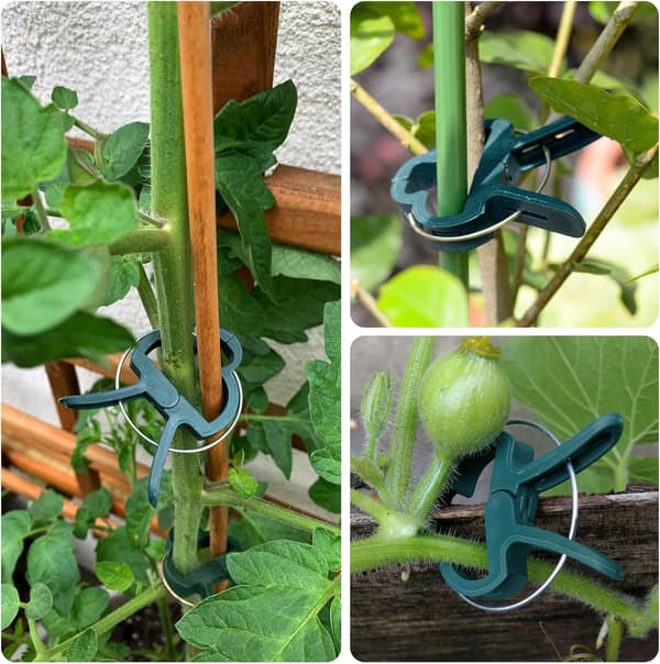 60 Klyper for Klatreplanter, Tomatklyper, Planteklyper, Tomatklyper (2 Størrelser)