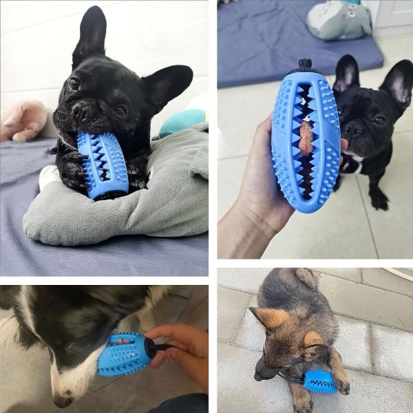 Blue-Dog Toys, Tyggeleker for Hunder Intellektuell Trening