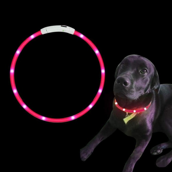 Collier Chien LED, Collier Chien LED USB ladattava Longueur