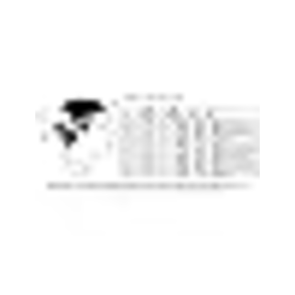 Hip-Hop Baseball Skull Cap for Men and Boys Multicolor