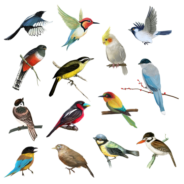 Brittiska små flygande färgglada fåglar Väggdekaler Avtagbara väggdekaler Trädgårdsdekorationer Affisch f