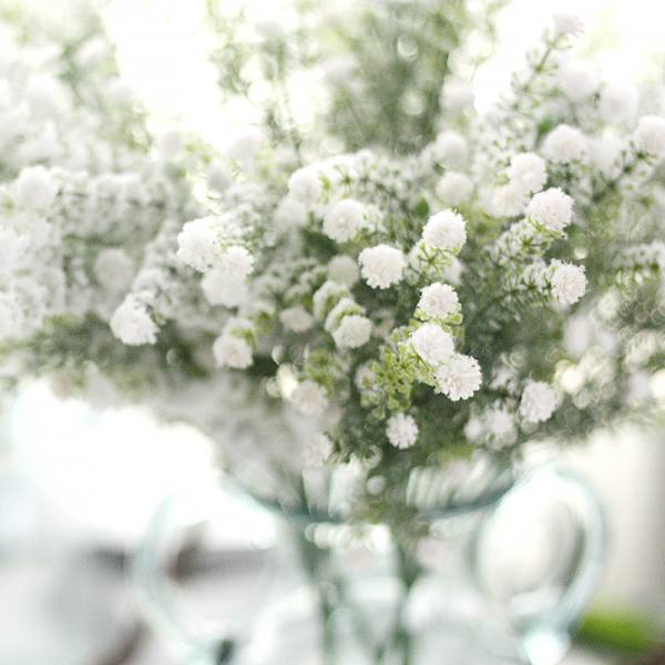 Valkoiset Babys Breath -tekokukat, aidontuntuiset Gypsophil-tekokukat