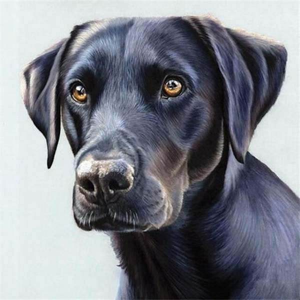 30 x 40 cm, Hundediamantmaleri Broderidiamantmaleri Lærred
