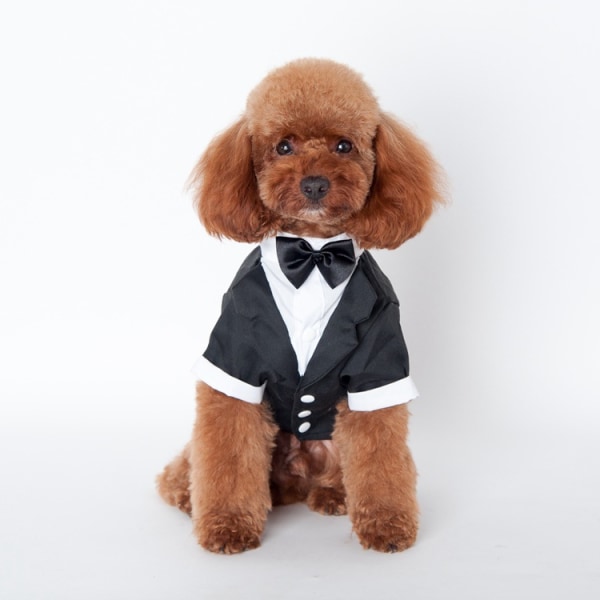 Hundskjorta Valp Pet Små hundkläder, elegant kostymfluga