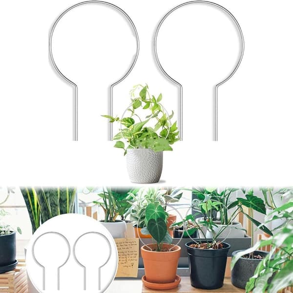 Sæt med 2 akrylstativer til klatreplanter og slyngplanter