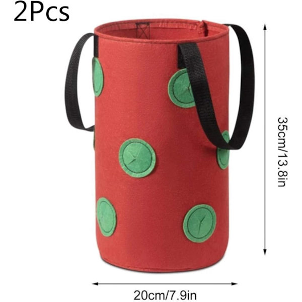 (20 x 35cm)(Punainen)2 pakkausta Ripustus Mansikka Kasv