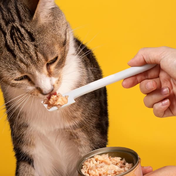 4-pak Katte- og Hundemad Ske Dåse Blandingsske til Vådfoder Kattefoder Spatel Dåseåbner Kæledyrsfoder Skeer Dåse Skeer Kæledyrsartikler til Hunde Katte Fodring