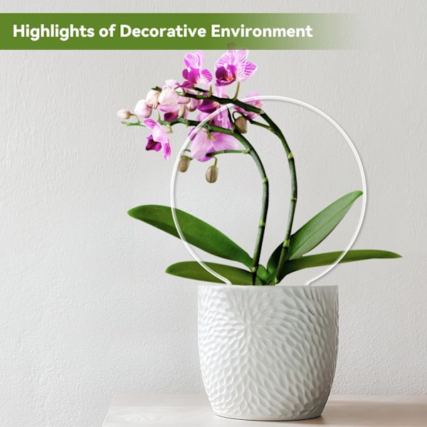 2-pack Rund Växtstöd för Krukväxter Inomhus Utomhus, Akryl Litet Växtstöd för Klätterväxter, Växtstöd för Monstera Blomma Philodendron