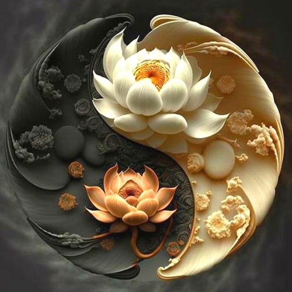 30 × 40 Peinture de diamant de lotus doux de Taiji (30 * 40, 1