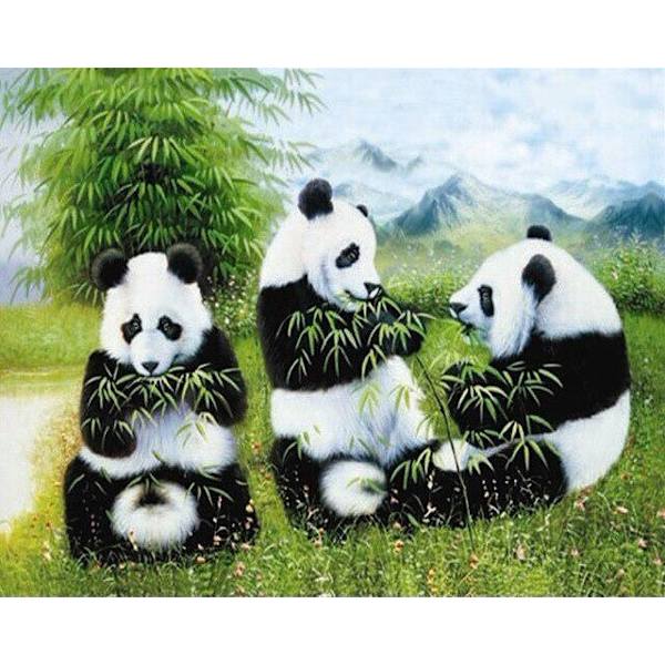 30 x 40 cm, Tre Pandas som äter bambu Diamond Painting Br