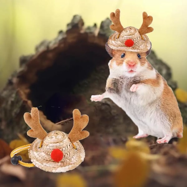 Hamstrar Kläder Söta Marsvin Kläder Hamster Tillbehör För Riktiga Hamstrar Ormhatt Handgjord Stickning Långvarig U