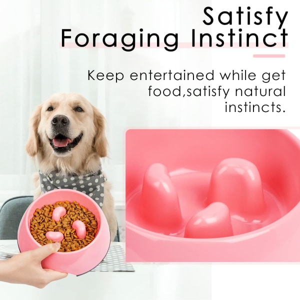 Vaaleanpunainen Anti-Glutton-kulho koirakissalle, liukumaton ruokintakulho