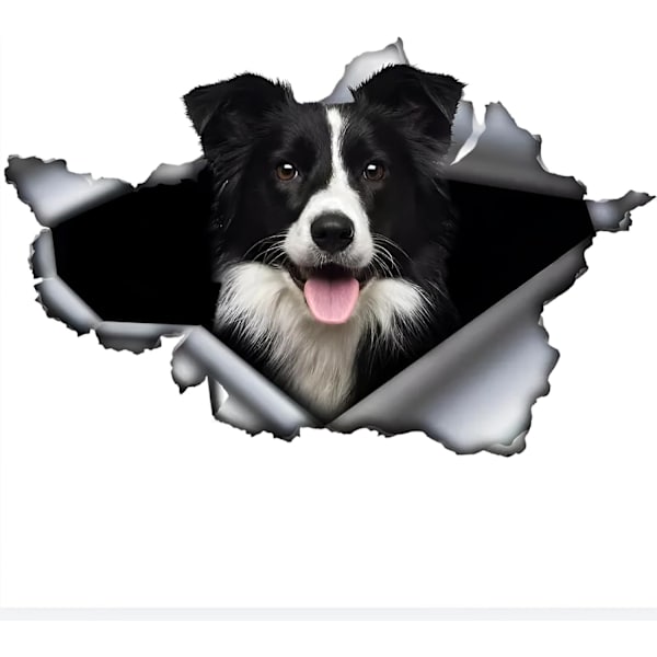 25cm (9,8 tommer) Bilsticker Border Collie-klistremerke Morsom Border Collie Bilsticker Kjæledyr Hund Vannfast Klistremerke 3D Rivet Met