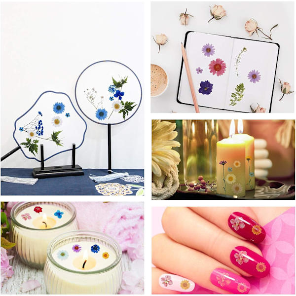 106 stykker ekte tørkede pressede blomster naturlige tørkede blomster multi