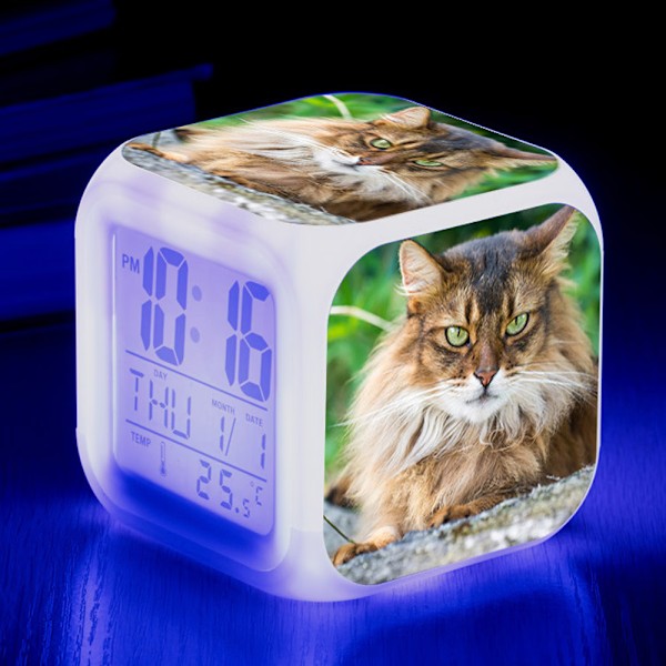 Söta djur katter digital väckarklocka（C）, färgglada ljuslarm C