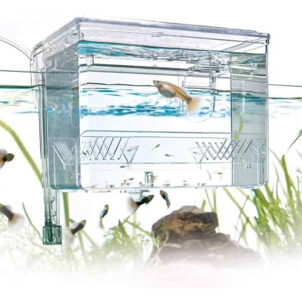Födelseavdelning för Akvarium Storlek L