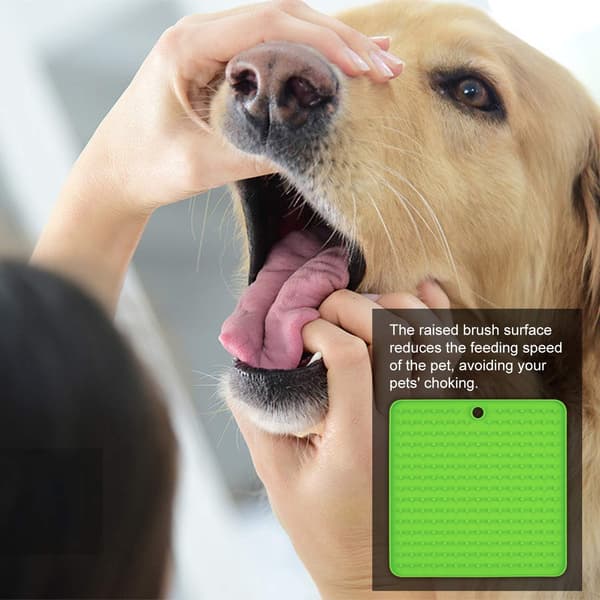 2-pakning vanntett hundematte, perfekt for å mate yao