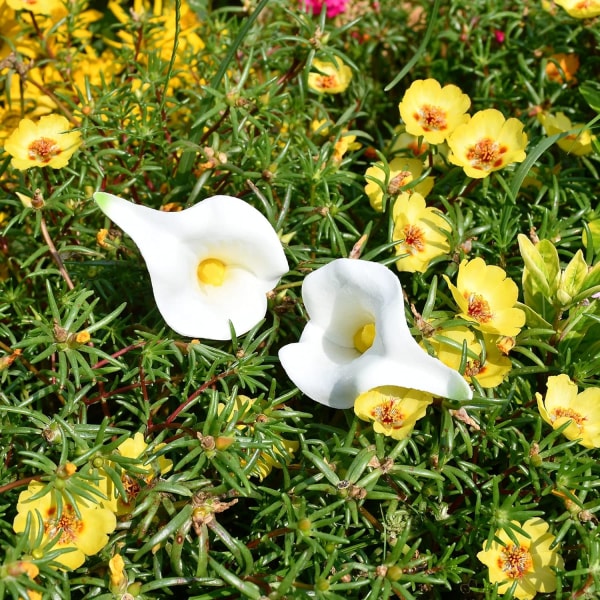 20 stykker kunstige rene Calla Lily Silkeblomster til hjemmekøkken