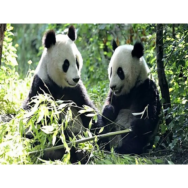 30x40 cm 2 5D Peinture Diamant DIY Complet,Panda géant animaux