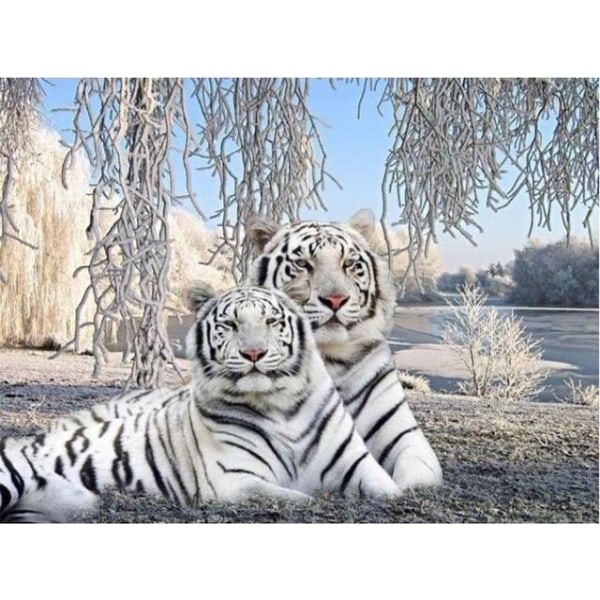 30 x 40 cm, deux tigres blancs diamond painting Broderie Diaman