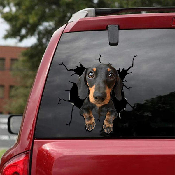 Venlig Dachshund Hund 3D Bilklistremerke Dekorasjon（30*30cm）, Bil St