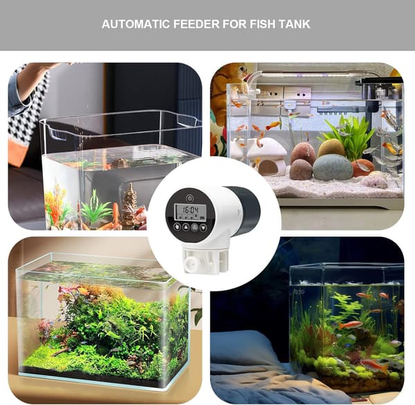 Automatisk fiskmatare med timer