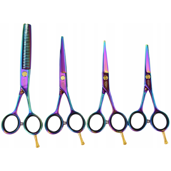 Frisörsaxar 4,0 4,5 5,5 Quatros Multicolor