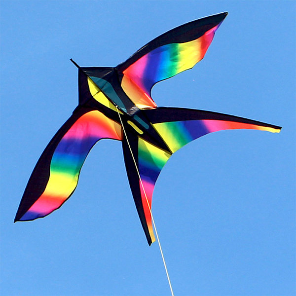 Rainbow Bird Kite med håndtak Line Nylon Stoff Swallow Kite