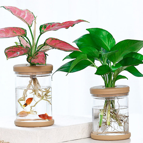 Lazy Transparent Flowerpot Hydroponic Automatic Water Absorptio as the picutre B