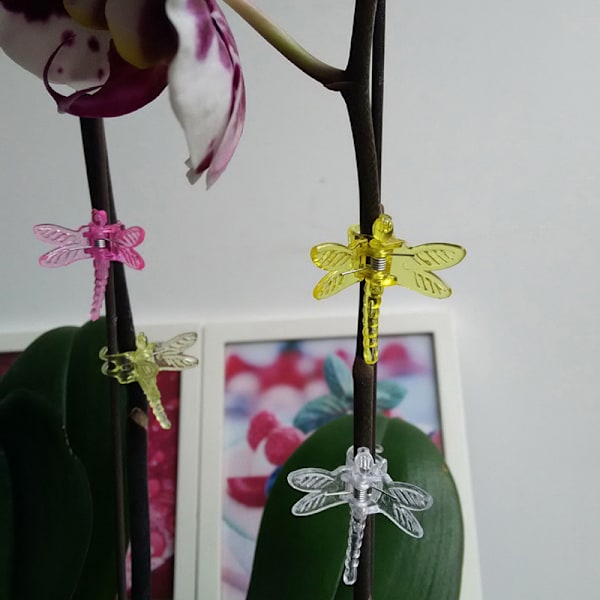 30 stk Dragonfly Orchid Clips Grower Support Clips