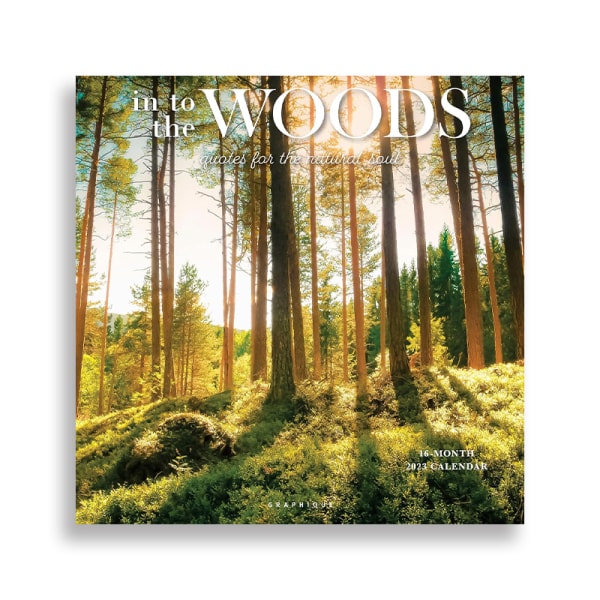 2024 Vægkalender Into The Woods tykt papir