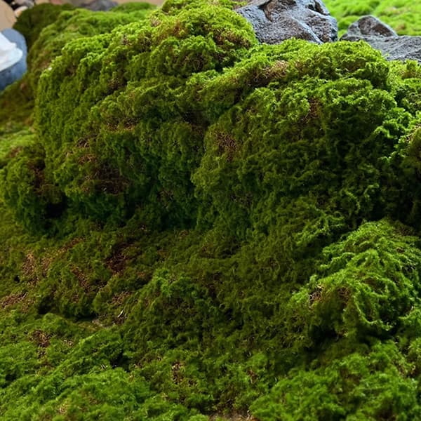Konstgjord Moss Landskap Bionic Gräsmatta Falsk Moss Micro Landskap Green A3
