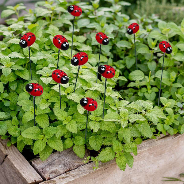 En haug med insektmarihøne Multichamber Stakes Blomsterpotter Dekor