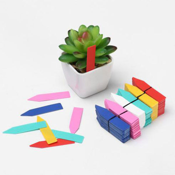 100 stk. 5*1 cm s Etiketter Indendørs Bonsai Navneskilt Plast Multicolors Pink
