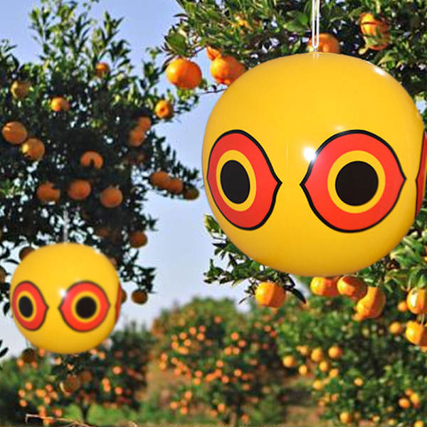 Anti Bird Uppblåsbar Repeller Skrämma Eye Ballonger Farm Protector Yellow