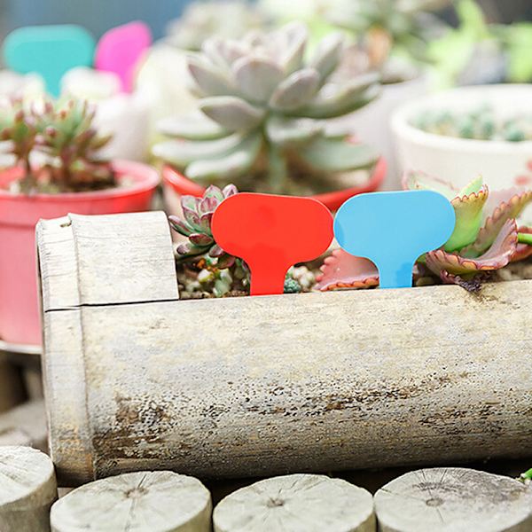 100 Stk 5*7cm plastik t-type mærkemærker planteskole haveplæne la Blue