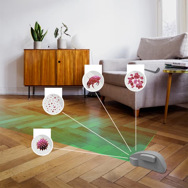 Hushållsdamm Ljusgrön Torch Dammsugare Dust Light Lig Black