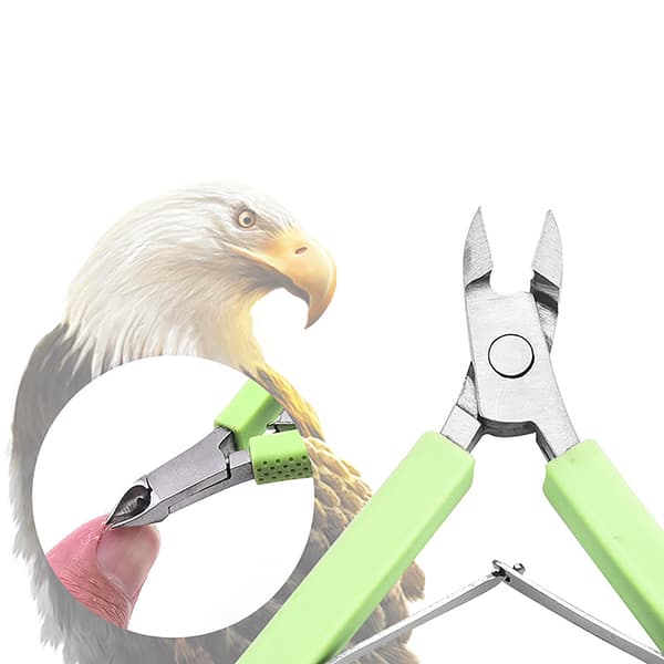 Rustfri icle Nipper Nail Art ter Clipper Manikyr ter Green